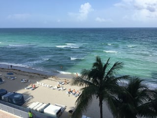 IMG_6319.jpg